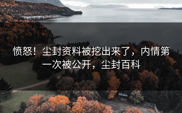 愤怒！尘封资料被挖出来了，内情第一次被公开，尘封百科