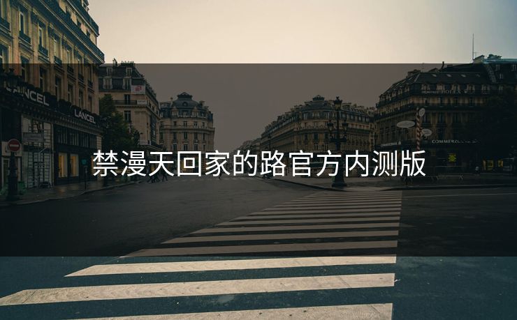 禁漫天回家的路官方内测版