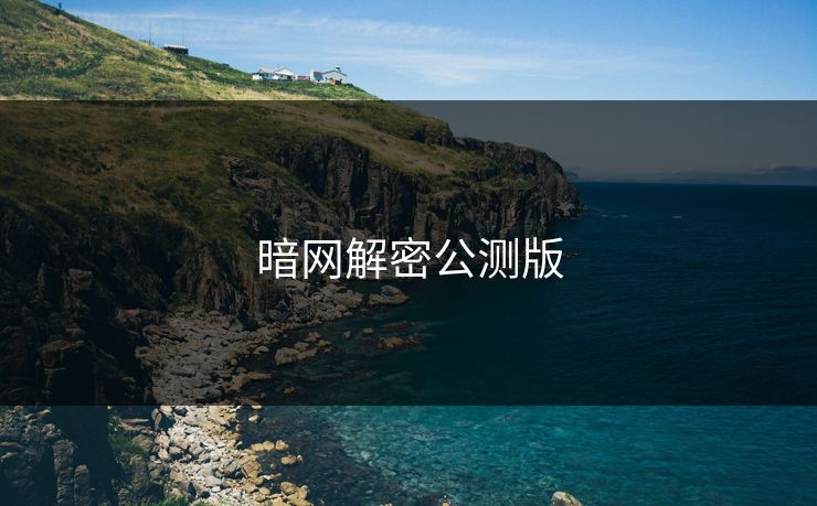 暗网解密公测版