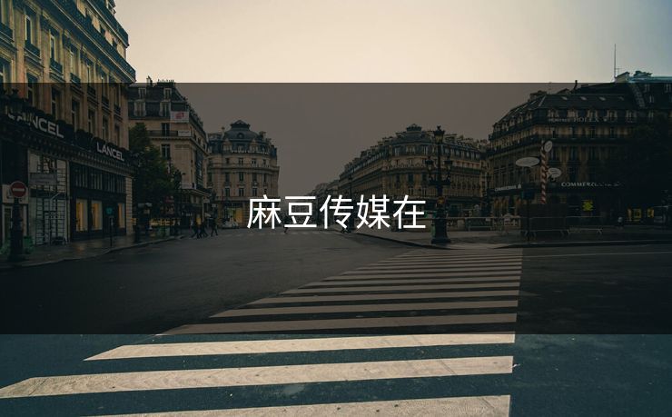 麻豆传媒在
