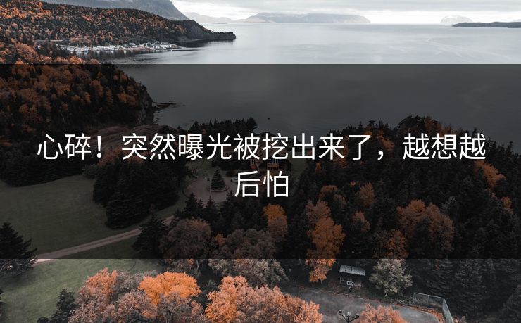 心碎！突然曝光被挖出来了，越想越后怕