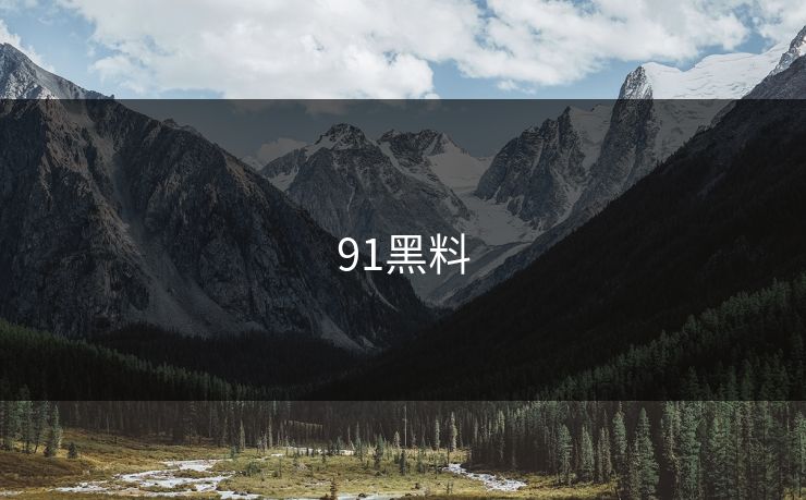 91黑料